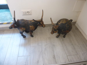 franchi cows